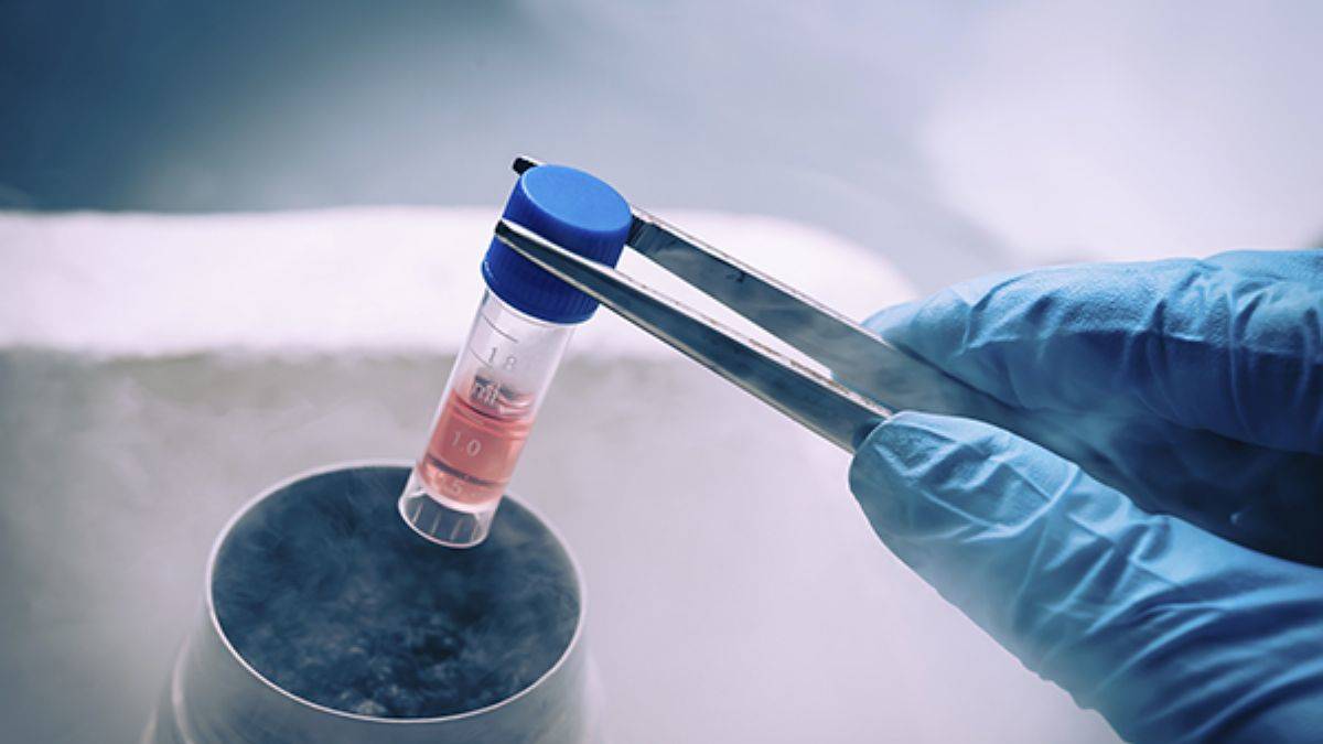 Dondurulmuş embriyo gebeliklerinde komplikasyonlar daha yüksek