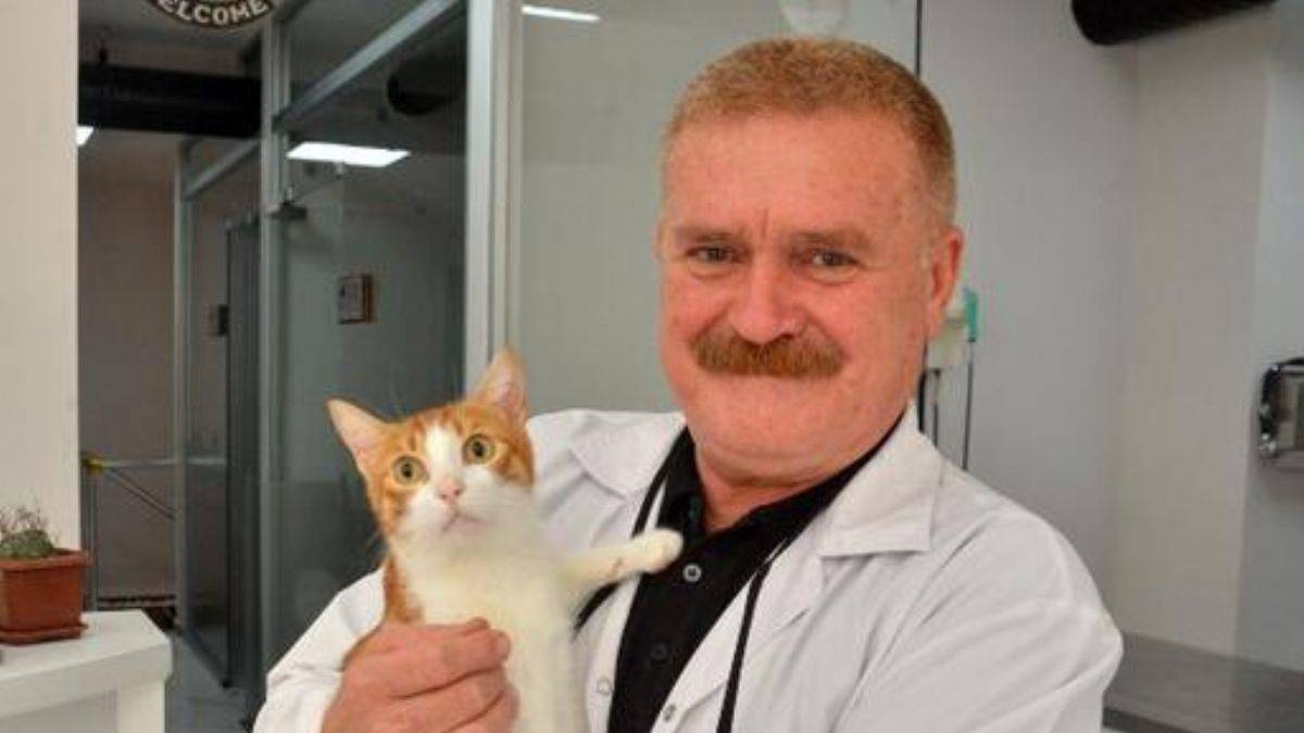 Veteriner hekimler, sokak hayvanlarına da trafik sigortası istiyor