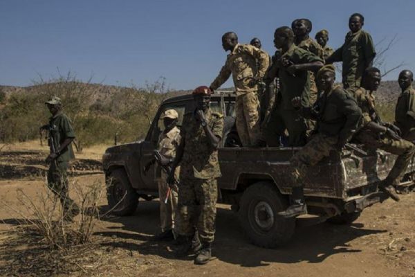 Nijerya'da 44 silahlı çete üyesi yakalandı