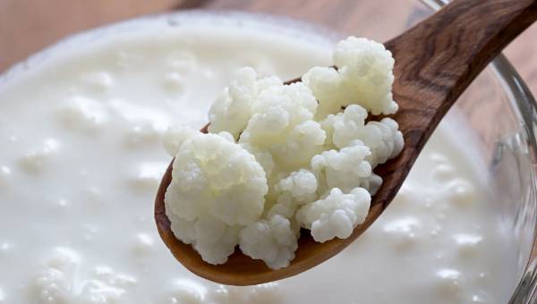 Kefir Nedir? Kefirin Faydaları Ve Zararları Neler?