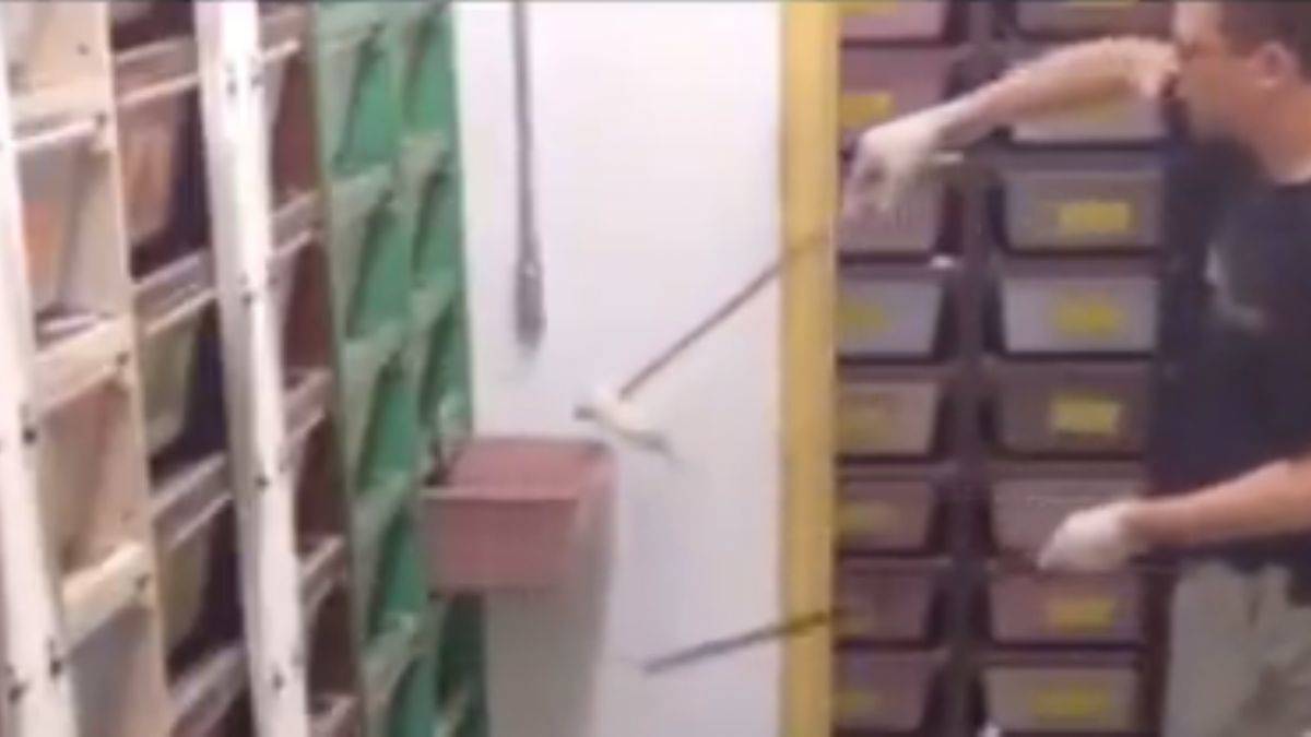 İşte dünyanın en zor mesleği