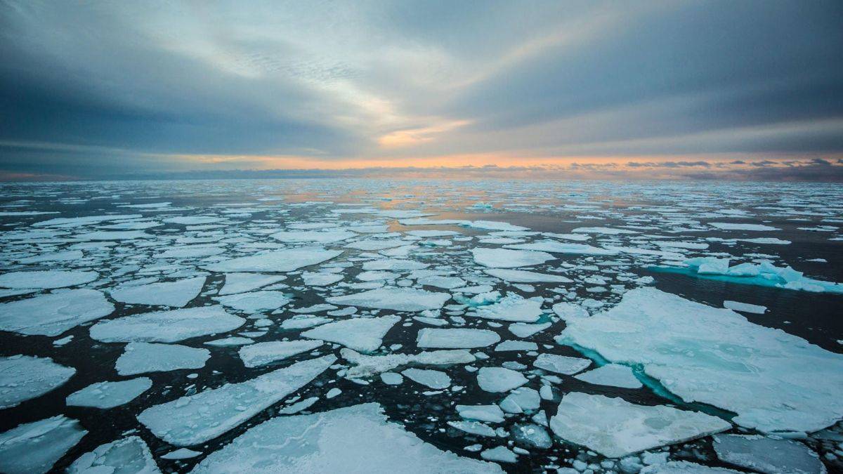 Kuzey Buz Denizi'nde aşırı asitlenme ortaya çıktı