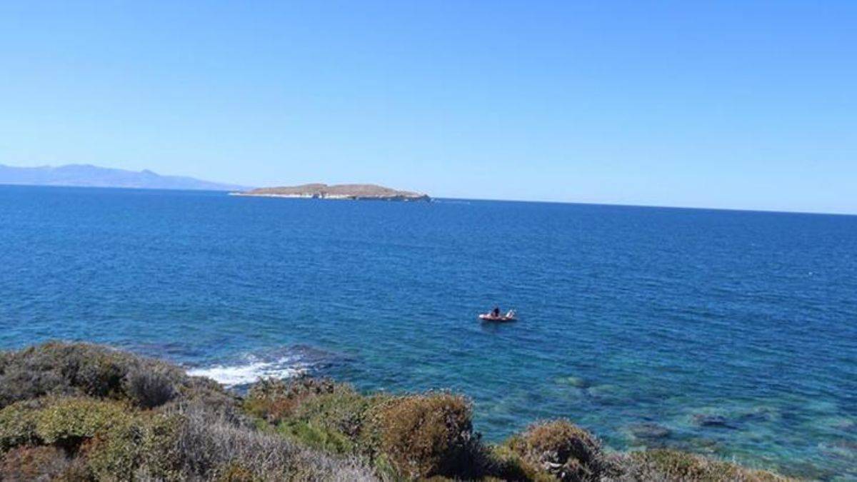 Koyda 10 gün arayla bir ceset daha bulundu