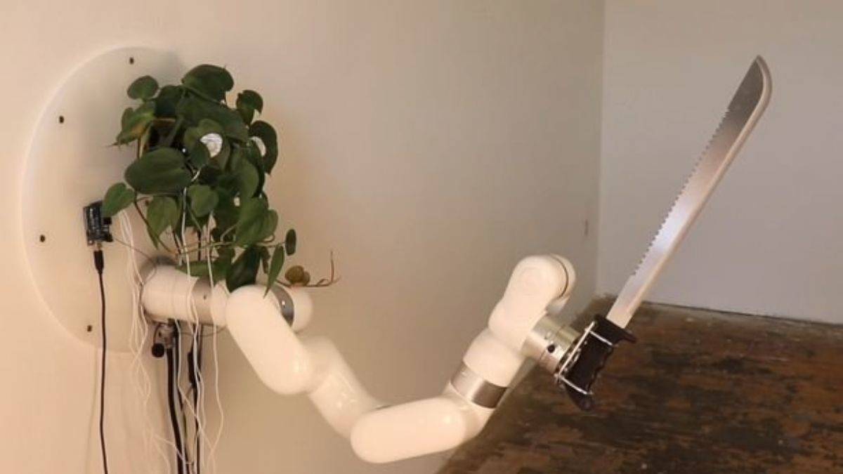 Beyni bitki olan palalı robot yaptı