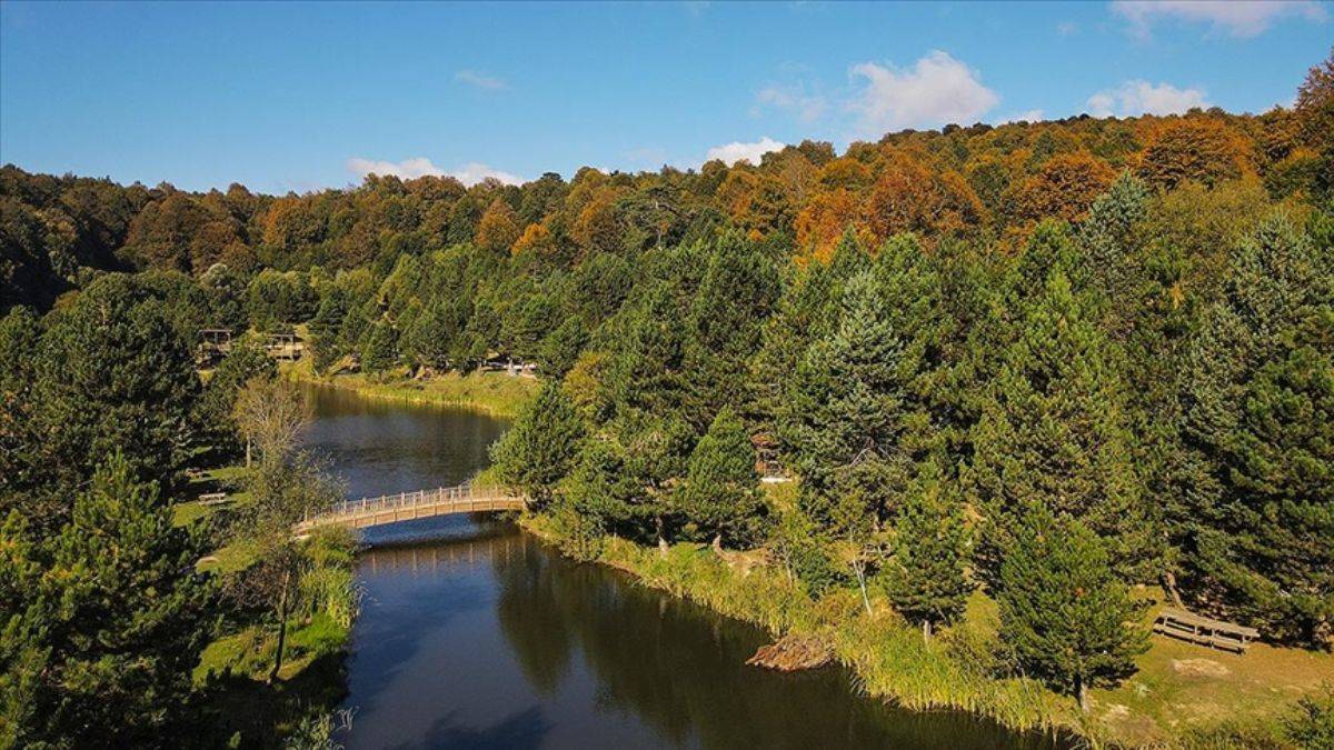 Osmanlı Devleti'nin kurulduğu topraklar: Domaniç Dağları