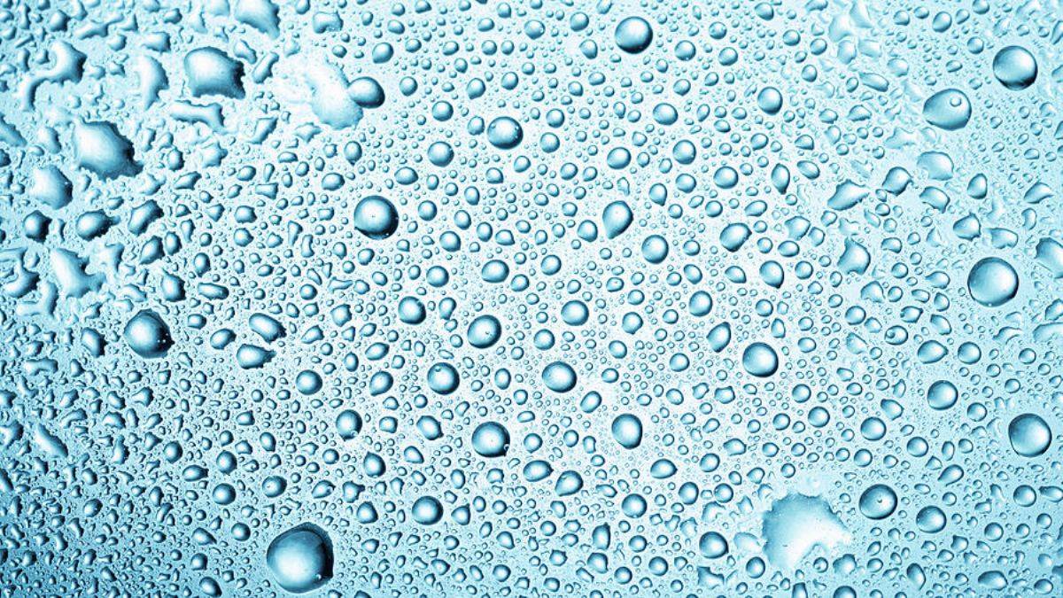 Bilim insanları hayatın sırrını çözdüklerini iddia etti