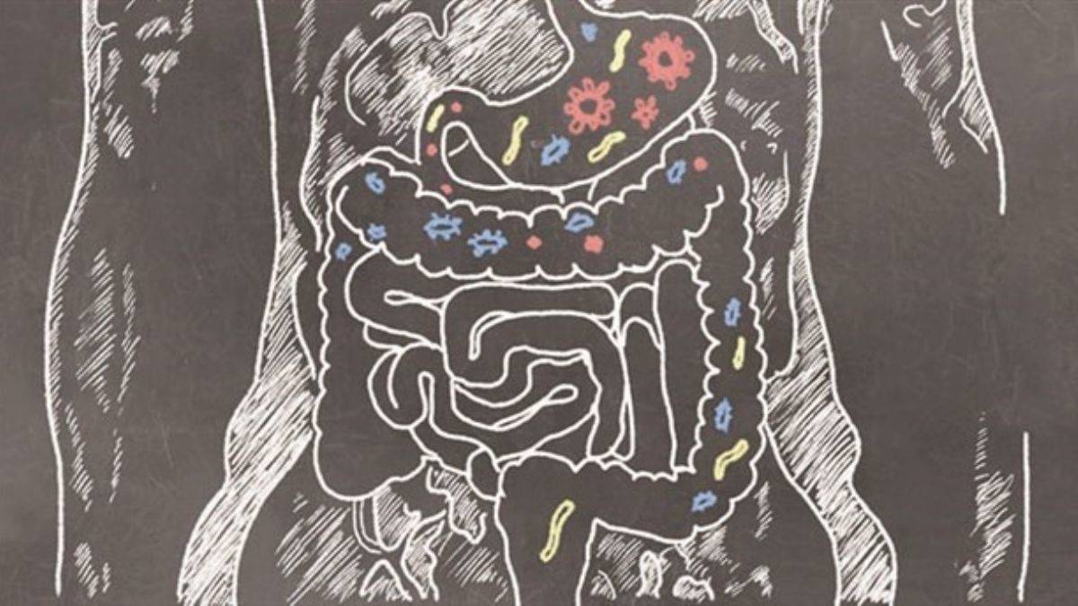 Dr. Şimşek: Sindirim sistemimiz sağlıklı değilse...