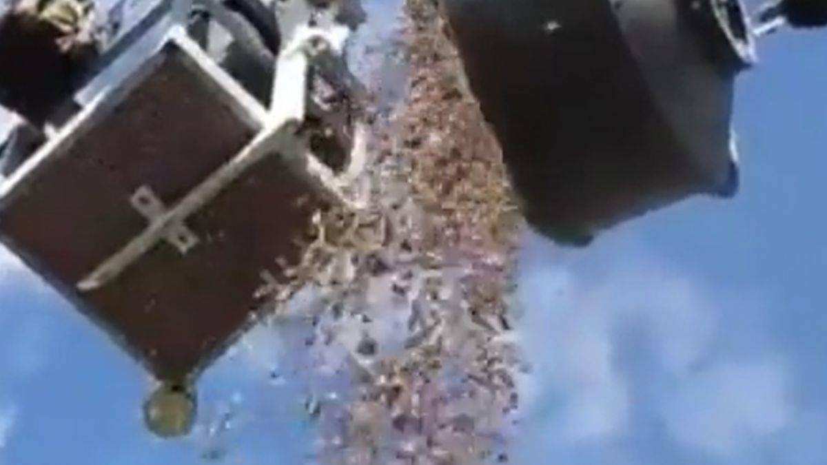 Teknisyenler, verici antenin içinden çıkana şok oldu