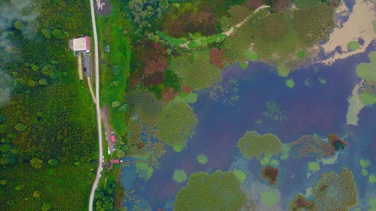 Düzce'nin şelaleleri ve kuş cenneti cazibesi