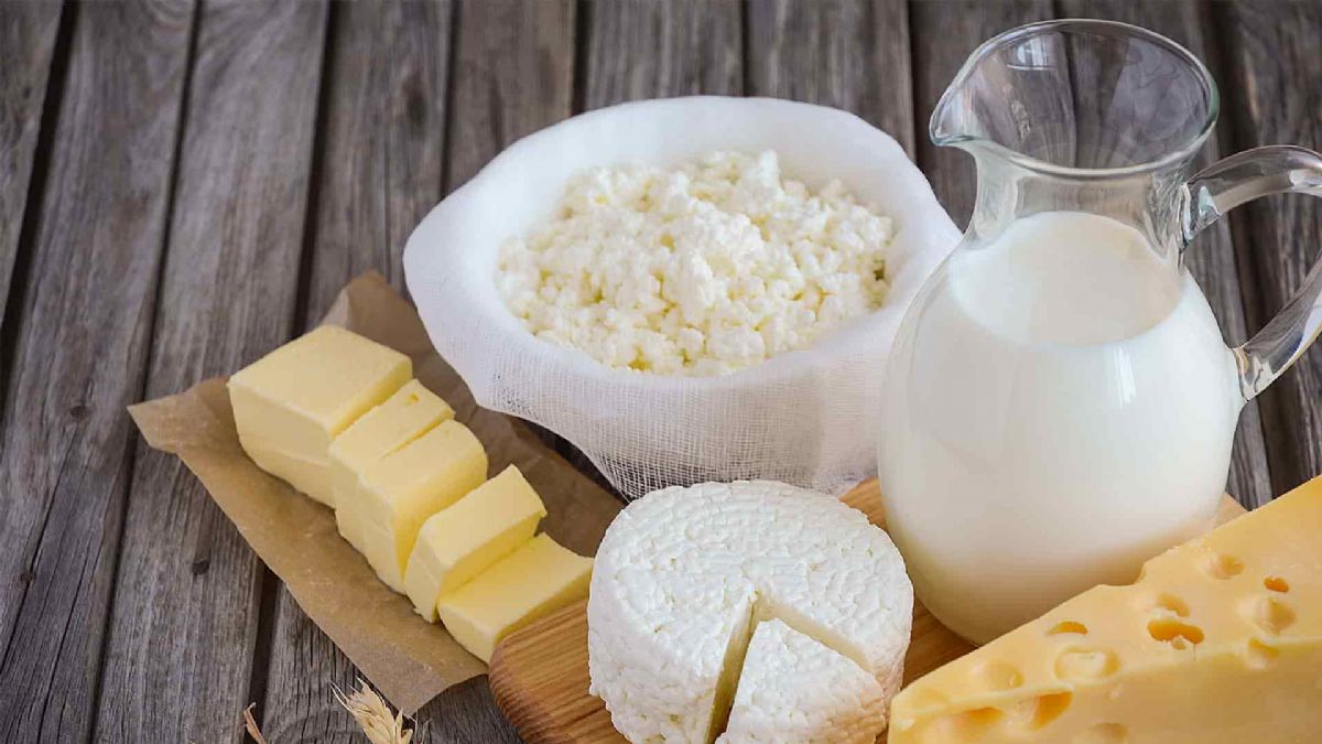 Süt ve peynir üretiminde düşüş sürüyor