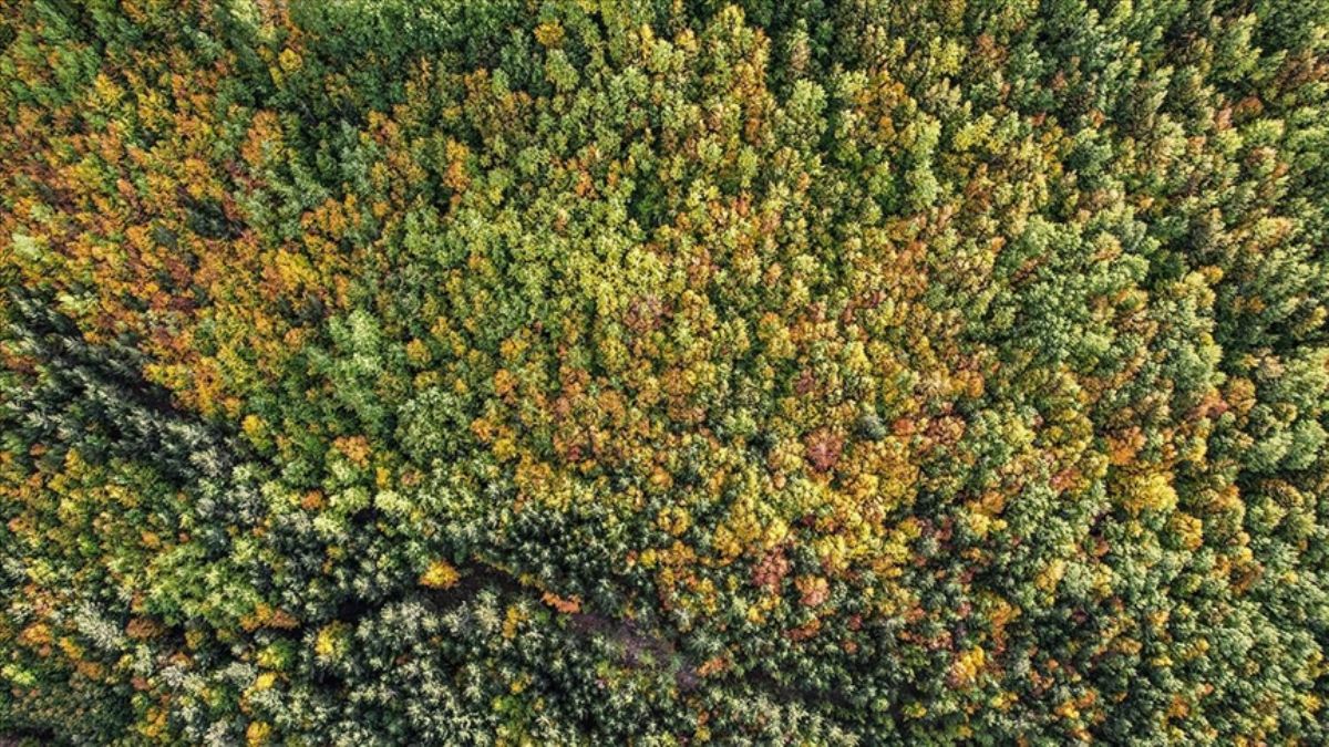 Murat Dağı her mevsim ziyaret ediliyor
