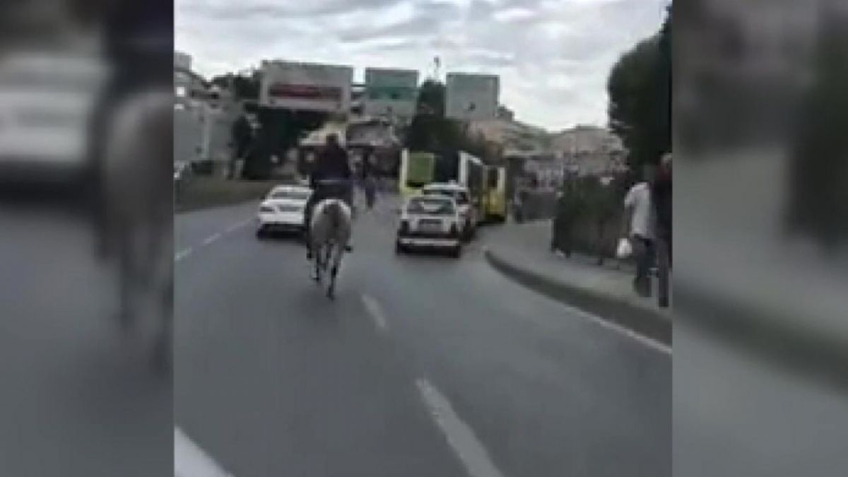 İstanbul trafiğinde at koşturdu!