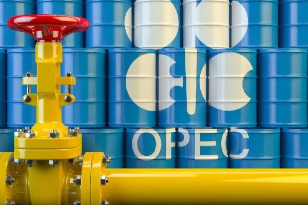 Cezayir'den ''OPEC+ grubunun üretimi azaltma kararına'' destek