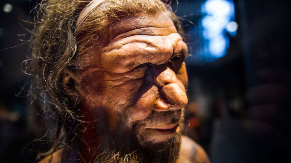 İlk Neandertal ailesinin kalıntıları bulundu!