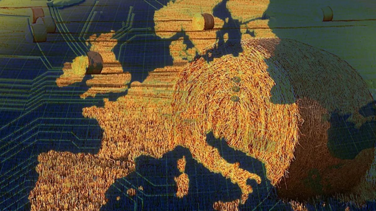 Kriz büyüyor: Avrupa dizlerinin üzerine çöktü