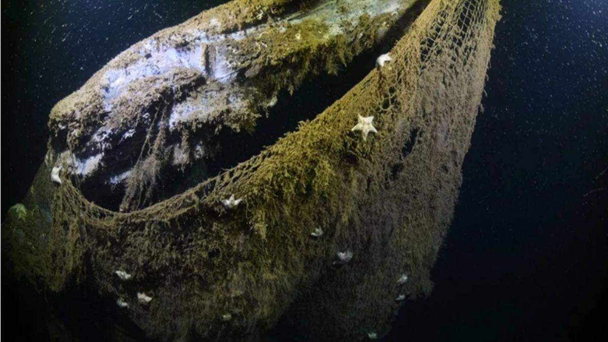 Büyük tehlike! Dünyayı 18 kez sarabilecek uzunlukta...