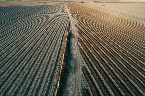Tarıma 2023 için ayrılan bütçe 133,7 milyar liraya yükseltildi