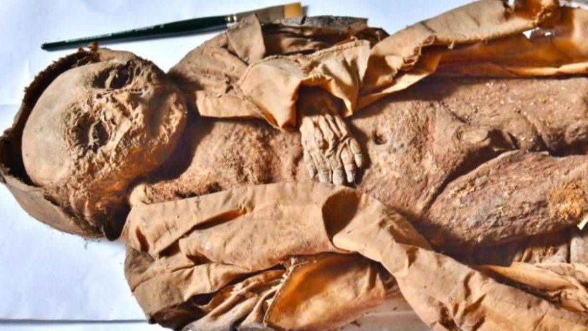 Mumya bebeğin gizemi çözüldü