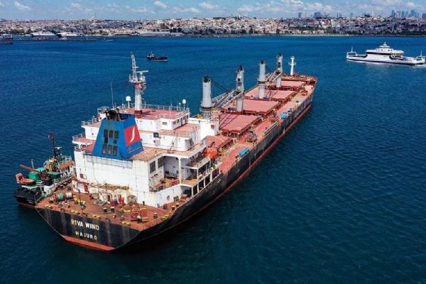 Almanya Rusya'ya ''tahıl koridoru'' çağrısı