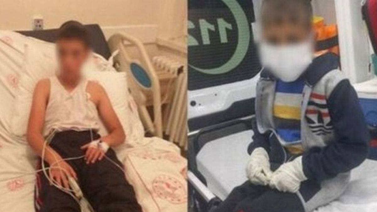 Bitlis’te köpeklerin ısırdığı çocuk kuduz oldu: Sudan korkuyor, hırçın davranıyor!