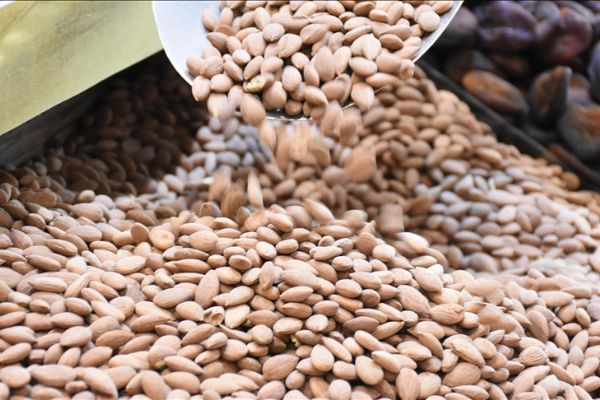 Kayısı çekirdeği ihracatından 14 milyon 677 bin dolarlık gelir