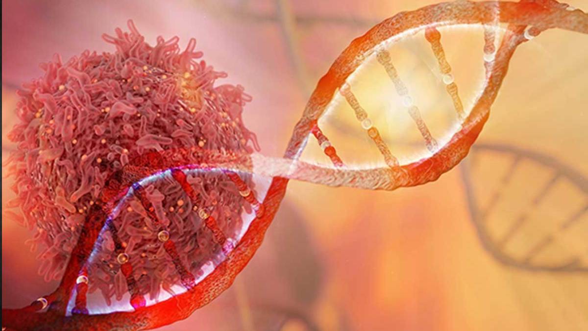 Lyme hastalığı nedir? Lyme (laym) hastalığı belirtisi neler, tedavisi var mı?