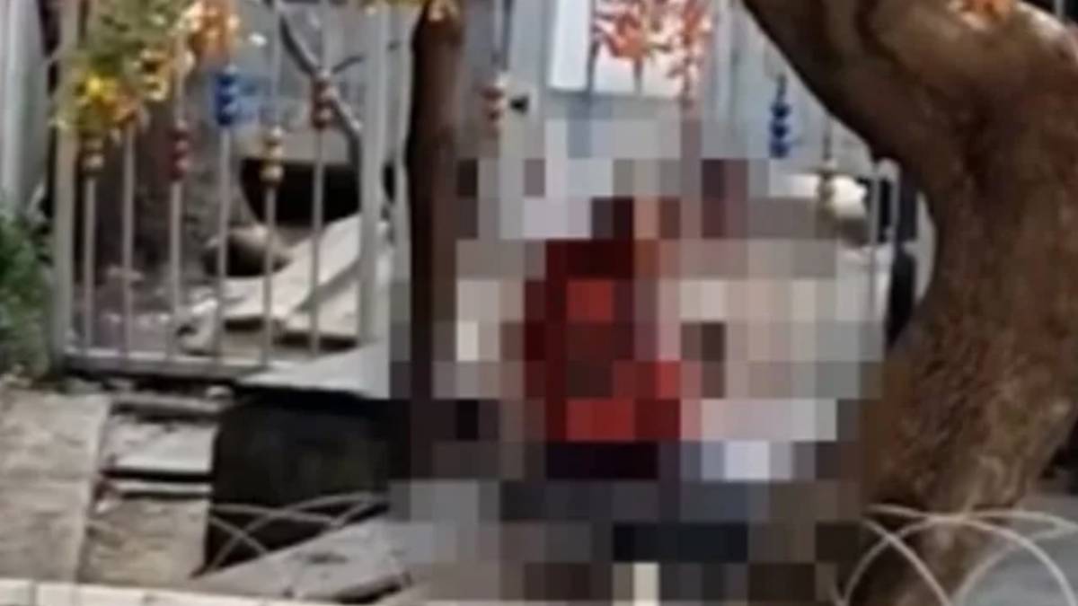 Bebek Sahili'nden sonra şimdi de Pendik! Pendik'te ne oldu? Pendik park olayı nedir? Video izle