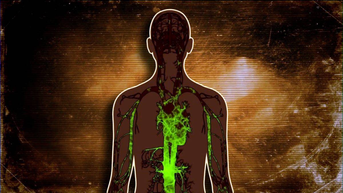 Vücuttaki toksin 'en ucuz' yolla nasıl atılır