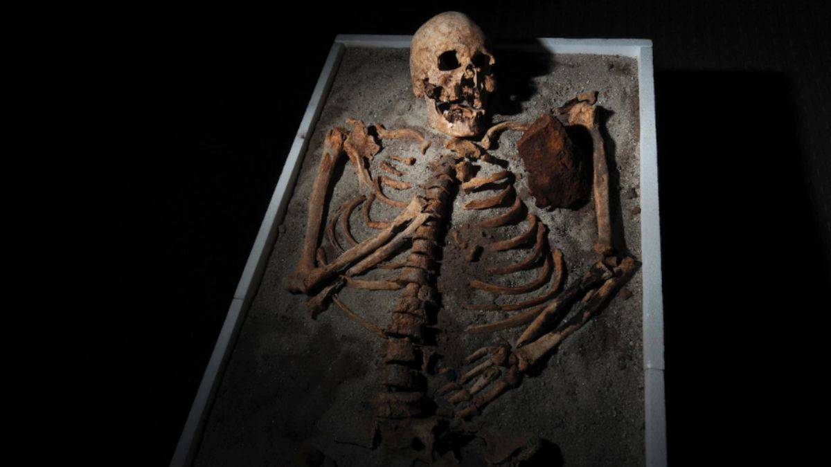 Vampirlerin uydurulması