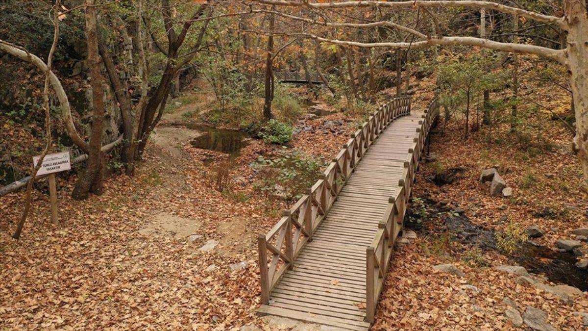 Ahşap köprüleri, köy eviyle Sadağı Kanyonu