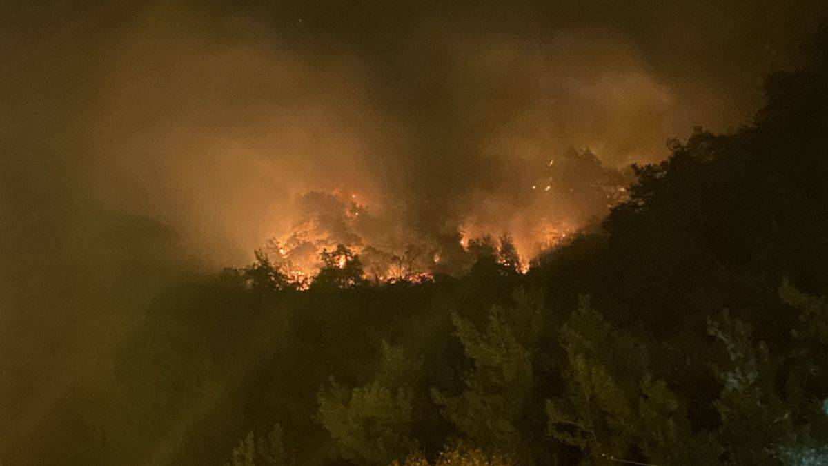 Bartın'da orman yangını: 4 kişi gözaltına alındı