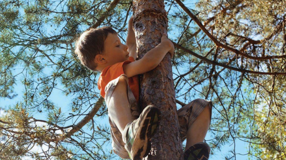 Çocuklar riskli oyunları neden sever?