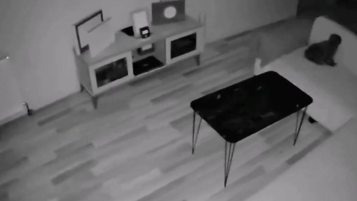 Düzce'de deprem anı kameraya böyle yansıdı!