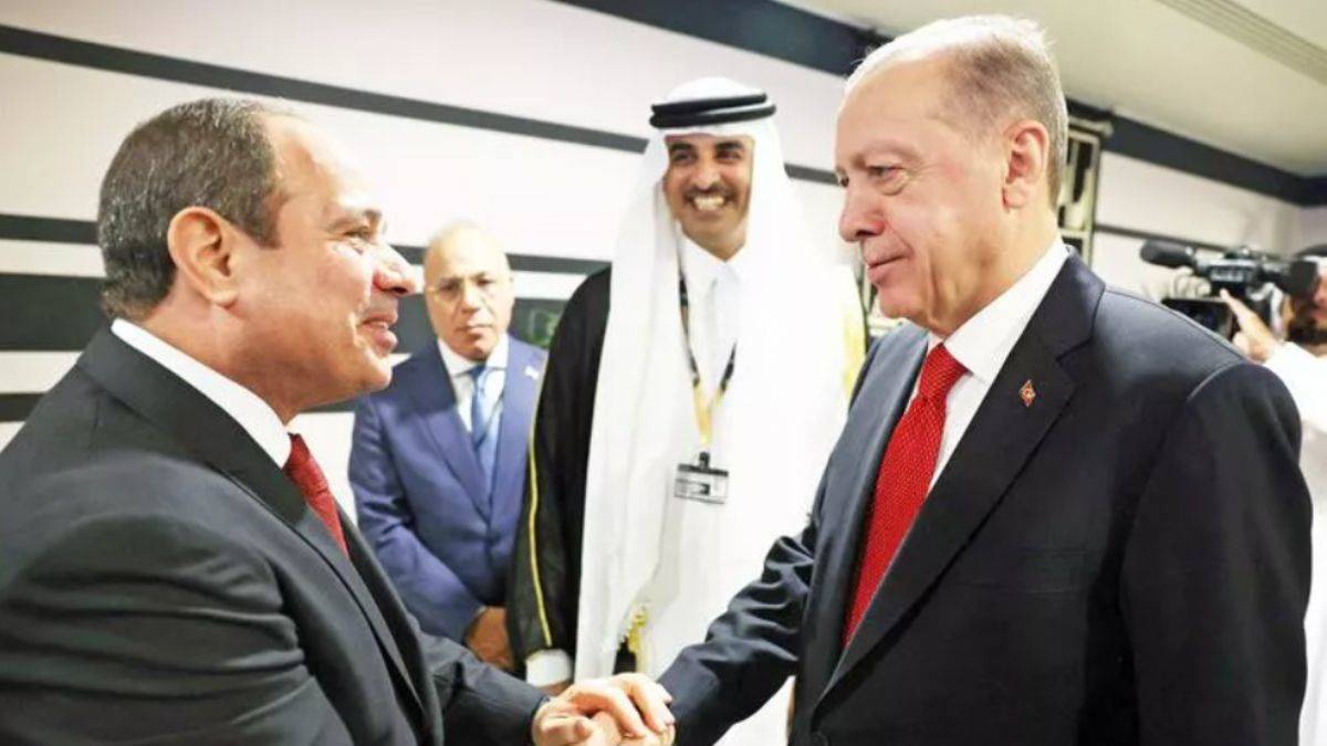 Hakan Albayrak, Sisi’yle tokalaşan Erdoğan’ı savundu