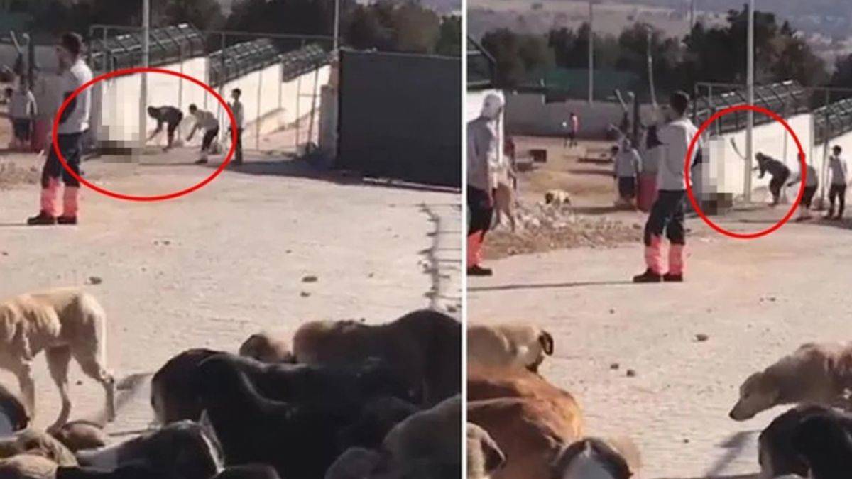 Bakan Kirişçi'den Konya'daki olayla ilgili açıklama