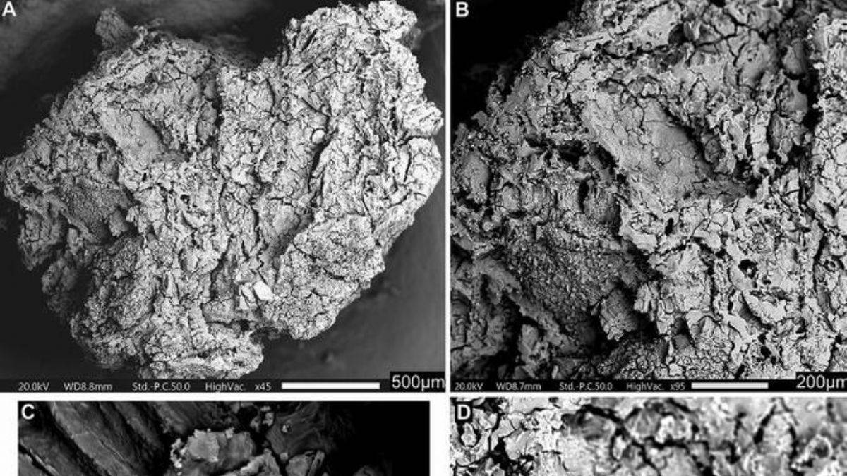 Dünya Dr. Ceren Kabukçu'nun keşfini konuşuyor