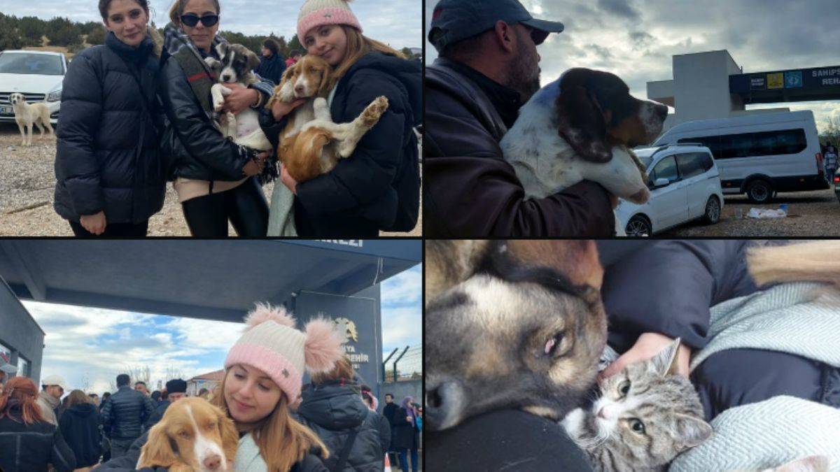 Konya'da hayvanseverlere 'cins köpek ayrımcılığı' tepkisi