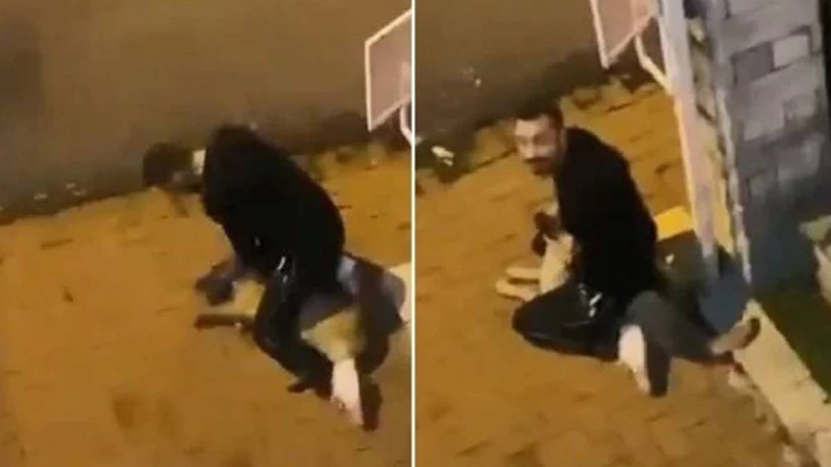 Sarıyer'de ne oldu? Köpeği boğmaya çalışan kim, tutuklandı mı? Sarıyer köpek boğma olayı nedir, nerede oldu?