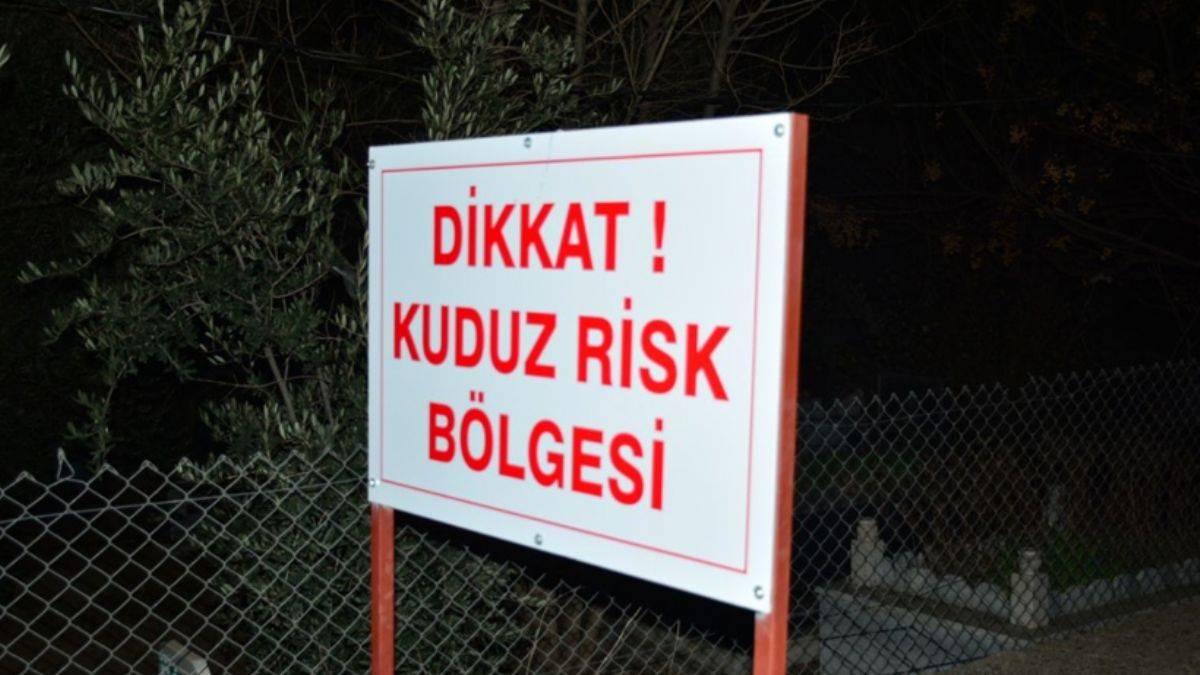 Bir kuduz vakası daha! Karantinaya alındı