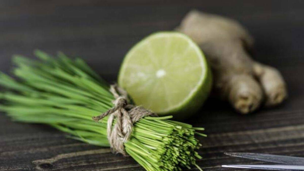 Neden glutatyonsuz yapamayız? Glutatyonumuzu nasıl artırırız?