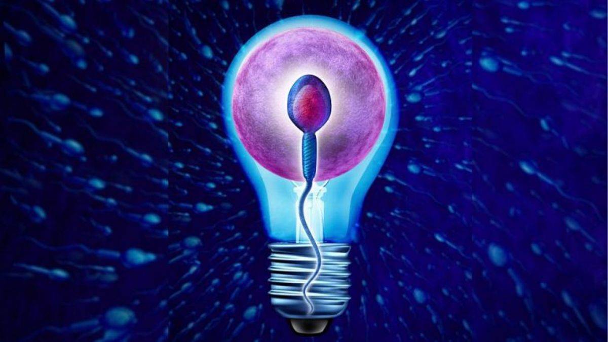 Euronews den erkekleri ürküten haber