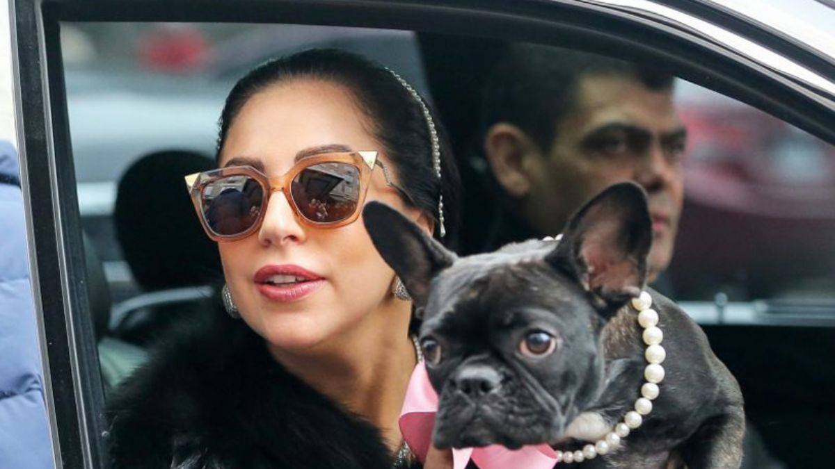 Lady Gaga'nın köpeklerini kaçırdı, 21 yıl hapis cezası aldı