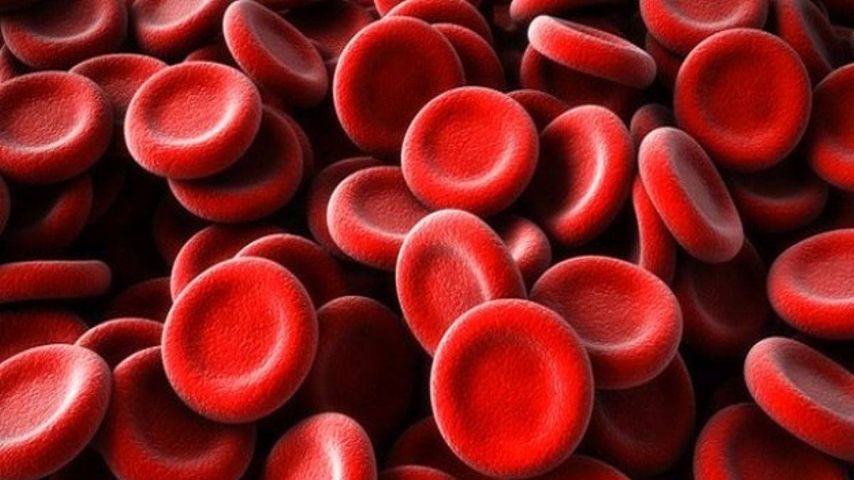 Homosistein testi nasıl yapılır, nasıl bakılır?