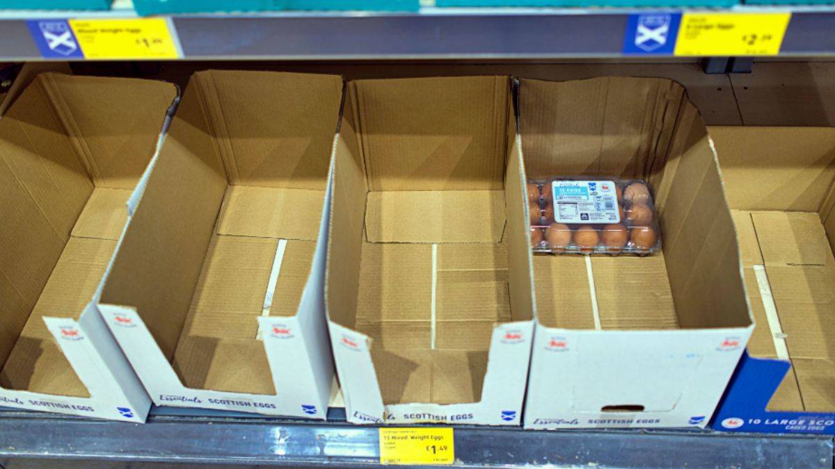 İngiltere'de kıtlık; 'Buna alışsak iyi olur'