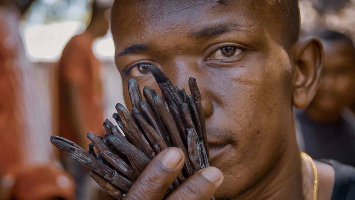 Parfümünüzde tam olarak ne var? İşin sırrını anlattı