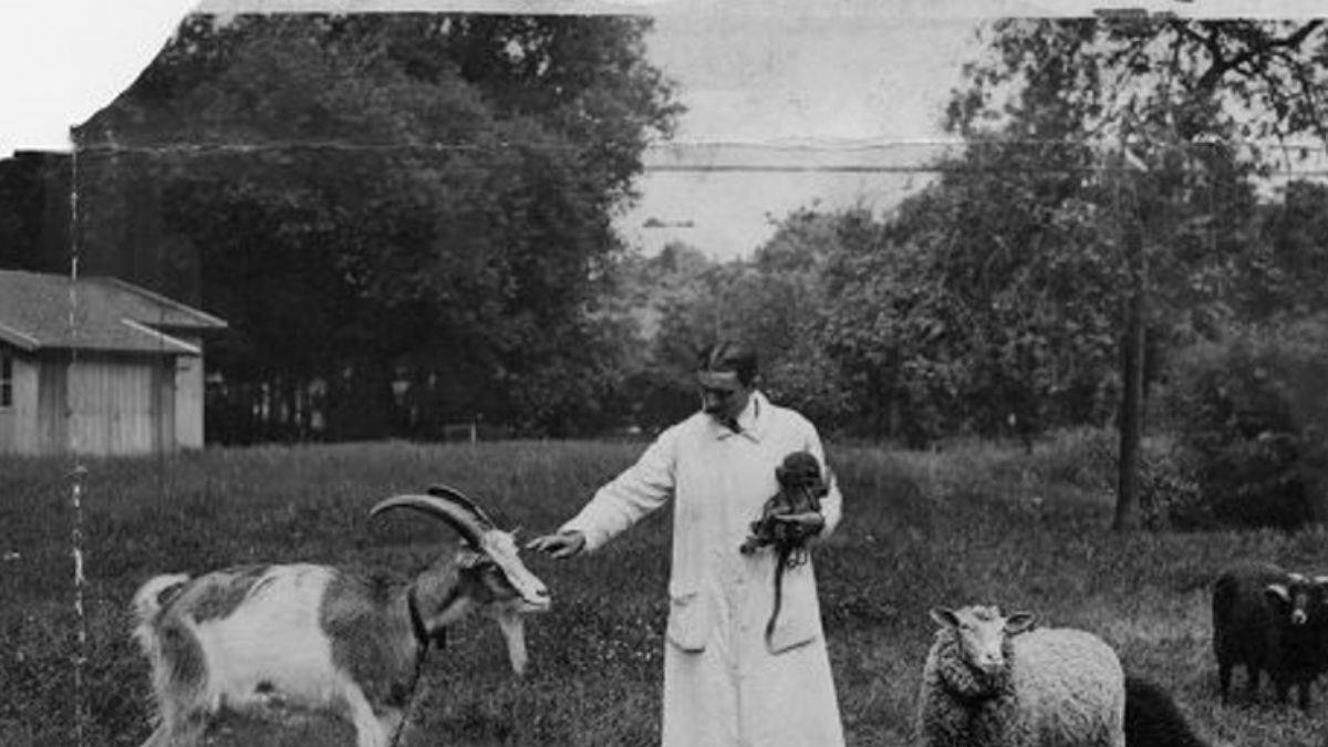 Hayvanlardan organ nakliyle 'gençleştirme' operasyonları!