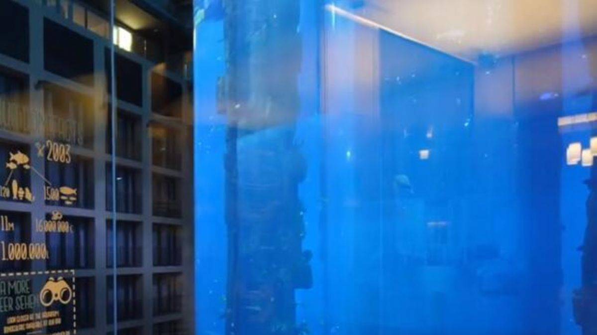 Almanya'da dev akvaryum patladı: Berlin Belediye Başkanı'ndan açıklama