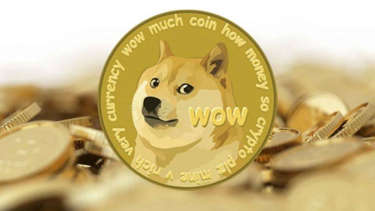 1 Dogecoin Ne Kadar? Dogecoin Geleceği 2024-2025