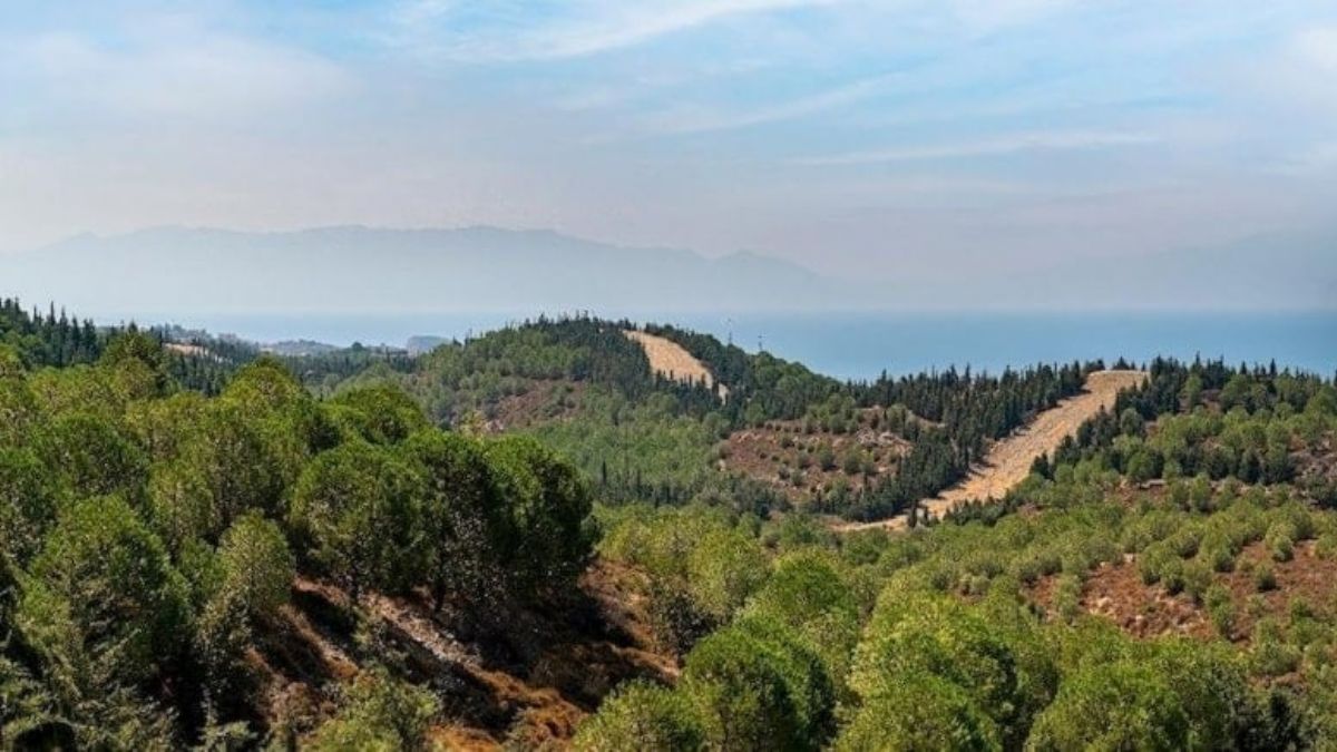 Orman Genel Müdürlüğü (OGM) personel alımı ne zaman?