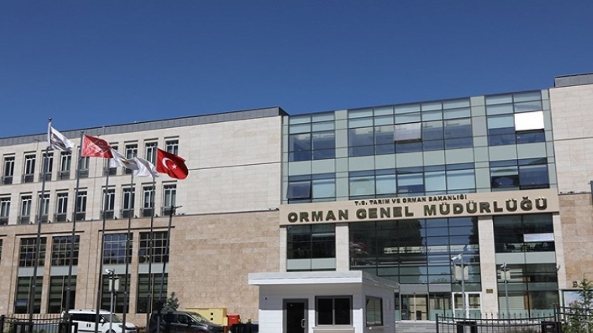 Orman Genel Müdürlüğü 1613 personel alımını ne zaman hangi şartlarla yapacak?
